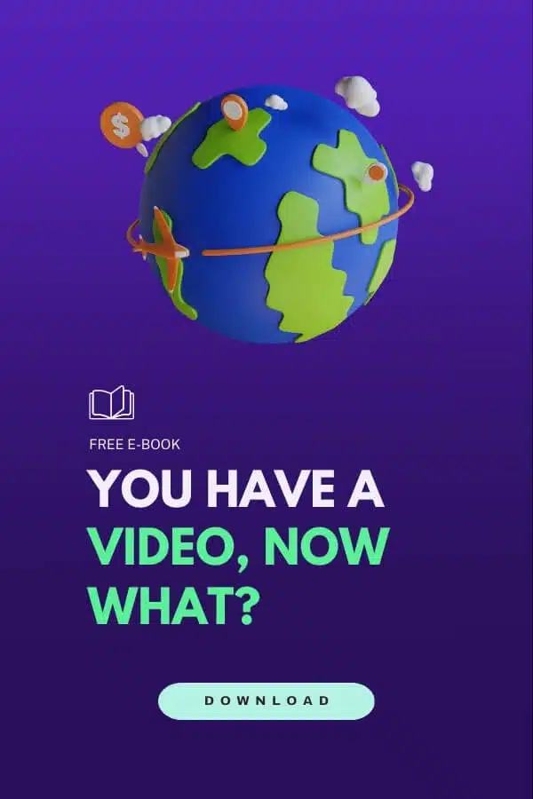 EBOOK you have an explainer video now what
