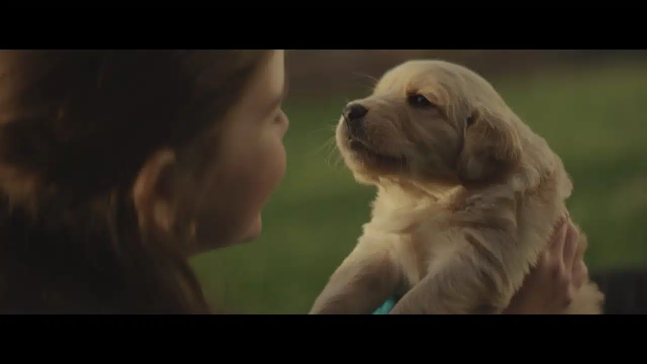 chevy commercial maddie