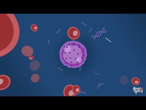 natera explainer video by yum yu 2