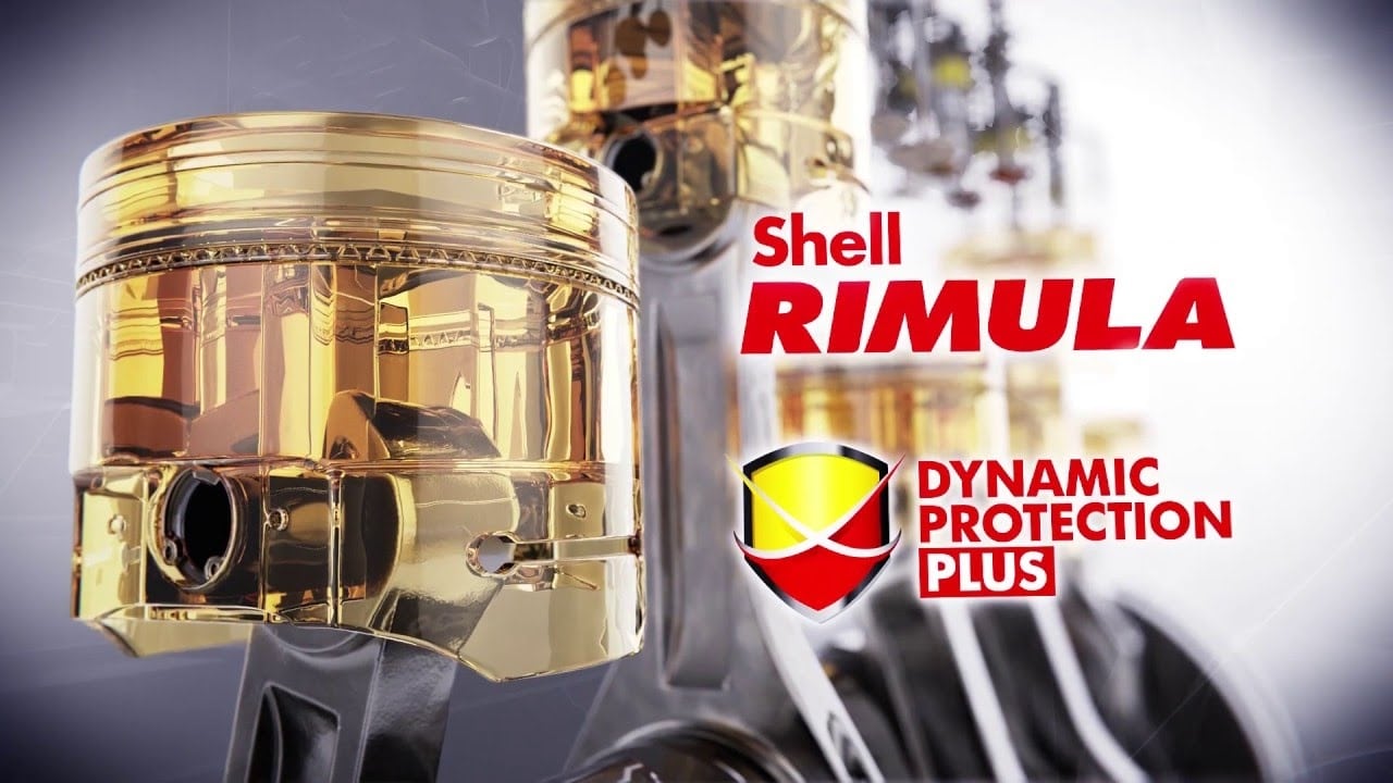 shell rimula dynamic protection