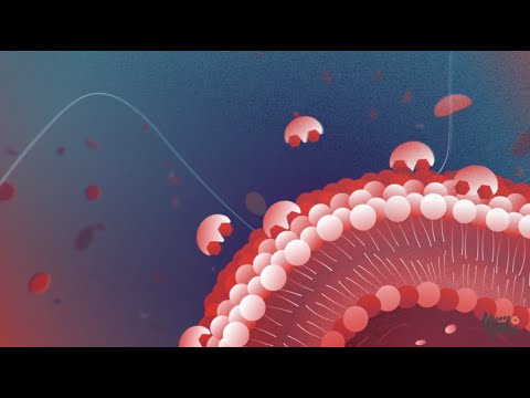 thermo fisher explainer video by 2